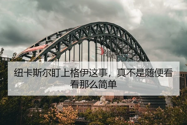 niu-ka-si-er-ding-shang-ge-yi-zhe-shi-zhen-bu-shi-sui-bian-kan-kan-na-me-jian-dan-1-229.jpg